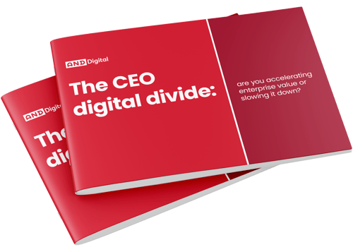 ceo-divide-mockup